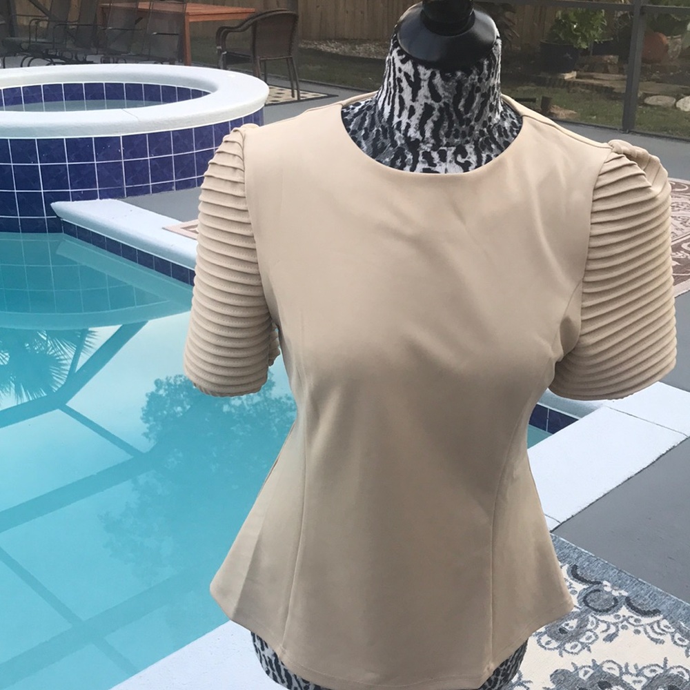 Gracia Taupe Top w/Accordion Sleeves